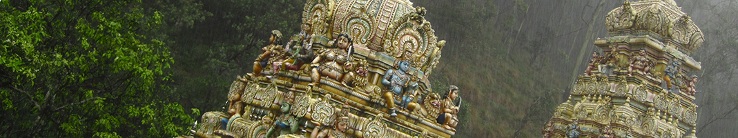 The towers of a Hindu temple in the rain with rich carvings and statues and against a green forested background.