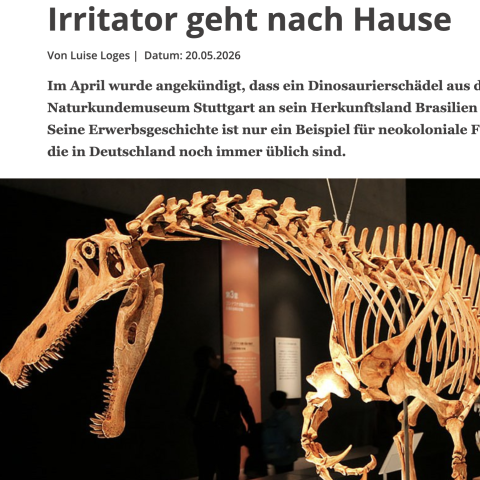 Screenshot of a news article showing a fossil that says Irritator geht nach Hause