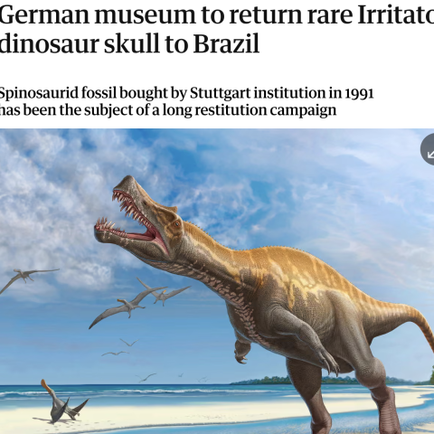 Irritator Guardian