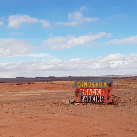 Tuba Dinosaur Track Site